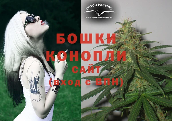 прущие грибы Строитель