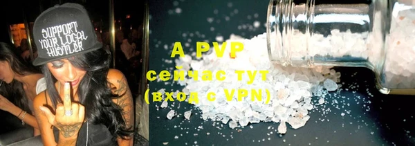 прущие грибы Строитель